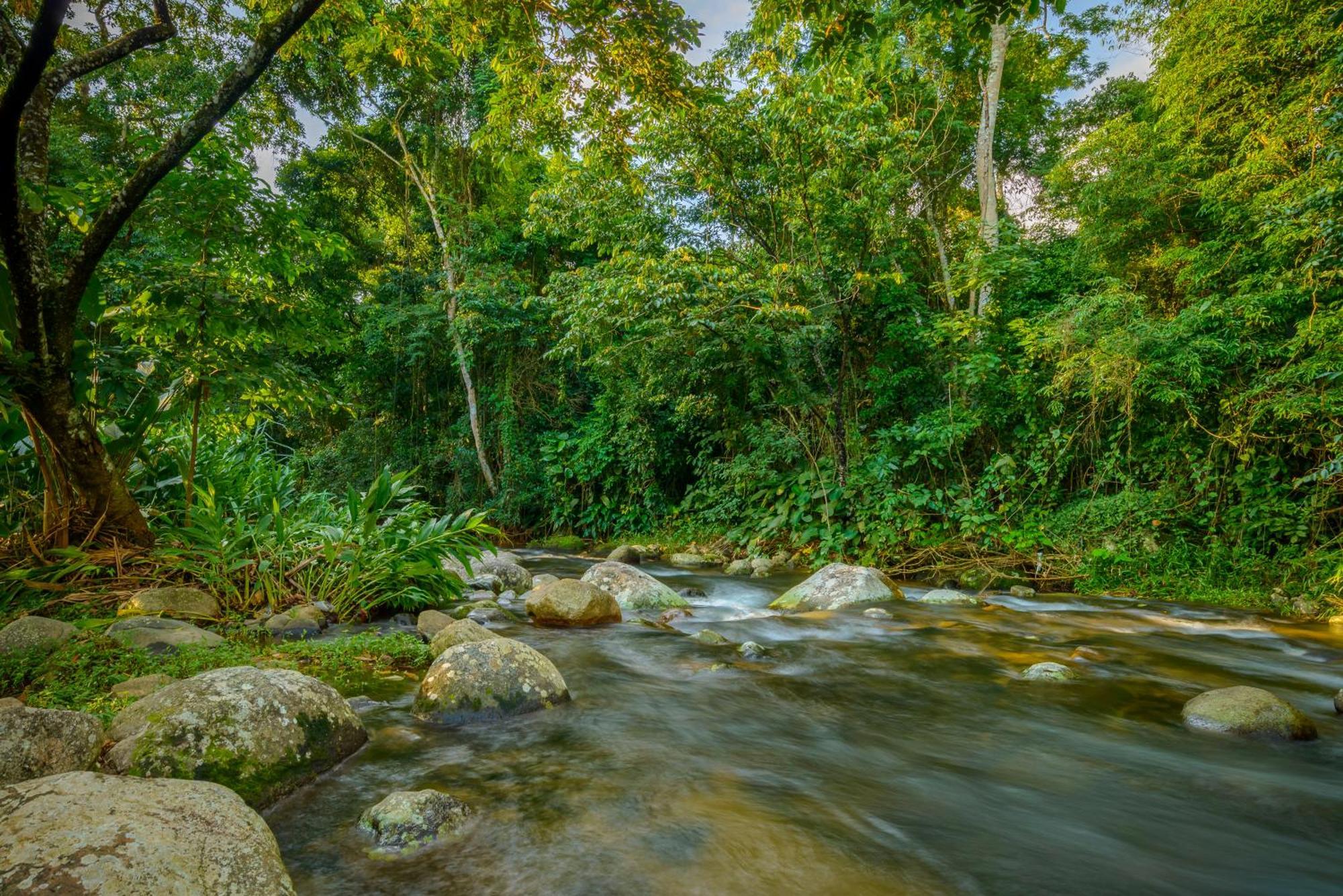 Velinn Pousada Bromelias Ilhabela Exterior foto